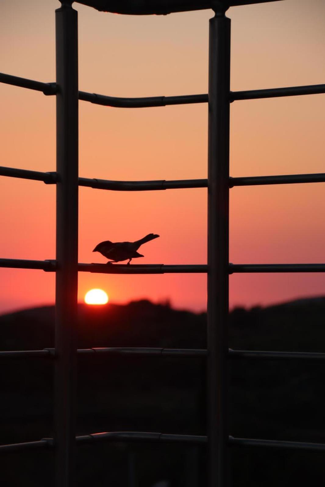 The View Villa Maries  エクステリア 写真